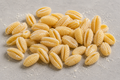 Fresh Gnocchi Sardi Pasta Box (12 servings)